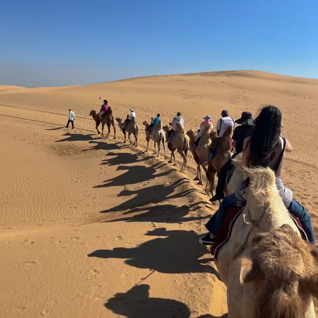 响沙湾：探索鄂尔多斯沙漠奇观的纯玩一日游