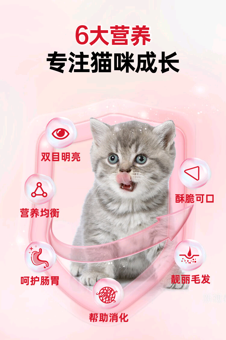 O1CN01Lgj5vz1Y18KOU9ZN5_!!2217298632998.png