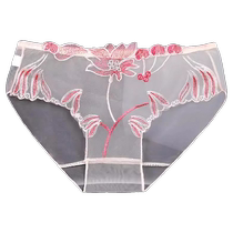 Underwear Womens Lace Sexy Mesh Embroidery Charming Large Size Fully Transparent Summer New Style Seamless Briefs