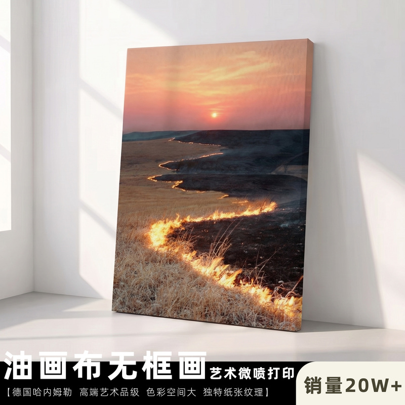 Frameless Canvas Oil Painting Large-Scale Floating Giclée Print Photography Exhibition Frameless Canvas Oil Painting Large-Scale Floating Giclée Print Photography Exhibition