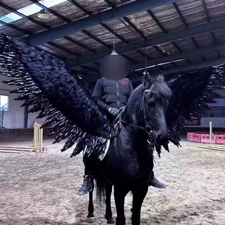 Equestrian Show Wings Black and White Horseback Wings Pegasus Saddle Wings Harbin Internet-Famous Flying Horse Wings Equestrian Show Wings Black and White Horseback Wings Pegasus Saddle Wings Harbin Internet-Famous Flying Horse Wings