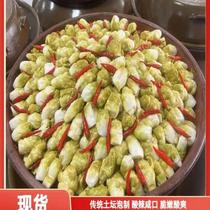 Sichuan Cabbage Caterina in winter fresh and cooky cabbage traditional old tapa aperiti cabbage