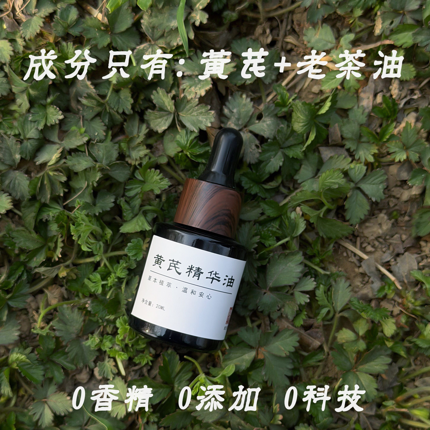 黄芪精华油,改善暗沉的不二之选!🌟-精华油-淘宝好物网