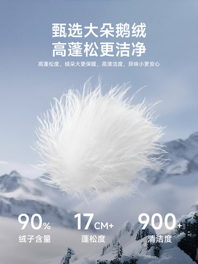 啄木鸟2025冬季新款男士立领90白鹅绒大衣爸爸装保暖毛呢外套男C