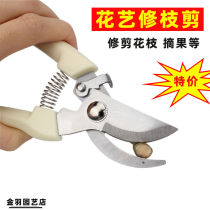 Gardening pruning shears household pruning shears special pruning shears for fruit branches garden green plant pruning and landscaping pruning tools