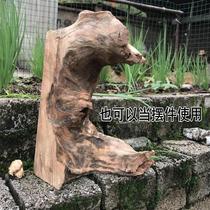 Camphor wood logs soil-sinked old roots camphor wood blocks wardrobe insect-proof and moth-proof beads car odor removal