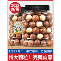 Macadamia nuts 500g creamy summer fruit dried nuts bulk weighing snacks for pregnant women