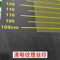 New standing long jump test mat special mat for high school entrance examination indoor non-slip floor sticker sports home trainer