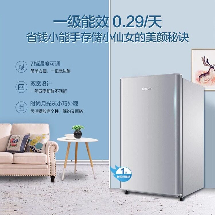 海尔BC-93LTMPA冰箱图片