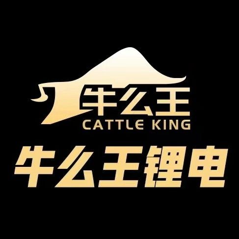 牛么王锂电官方企业店