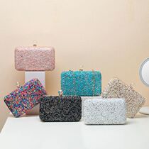 Evening Bag for Women Multi-color Purses Designer Luxury Han