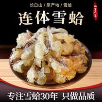 Dried snow clams from the mountains Changbai mountain forest frog oil Northeastern snow clam oil clam oil snow clam paste fresh papaya and stewed snow clams