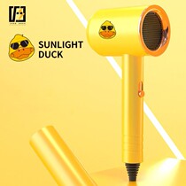 Cat pet hair dryer high-power silent bathing quick-drying drying artifact small dogs dog pet shop special