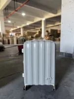 American Big Brand Nyk Grey Pure PC Premium Wheel