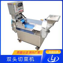 Manufacturer supplies multi-function double-head vegetable cutting machine commercial bulb fruit and vegetable cutting machine large canteen vegetable cutting machine