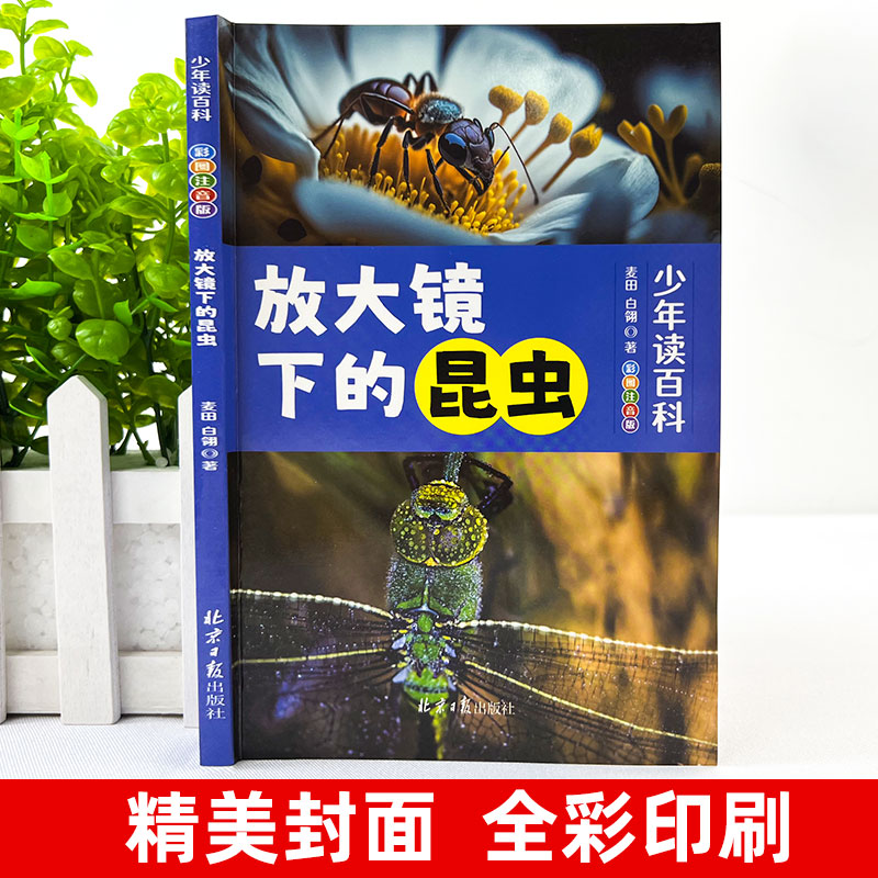 二手正版《安全科学原理》第二版：李树刚教授带你走进安全科学的殿堂