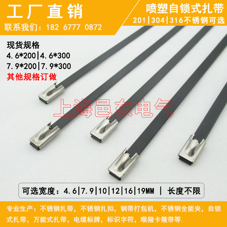 Plastic spray ball self-locking 304 stainless steel cable tie black marine cable color packaging 316 metal binding belt