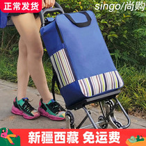 Xinjiang Tibet vegetable shopping cart small cart climbing stairs shopping cart folding trolley trolley old man portable cart