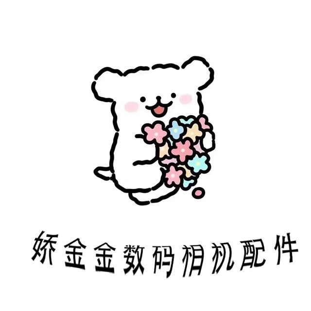 娇金金数码相机配件