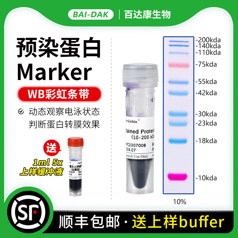 WB预染蛋白Marker 彩虹条带Marker PAGE电泳蛋白分子量标准250ul