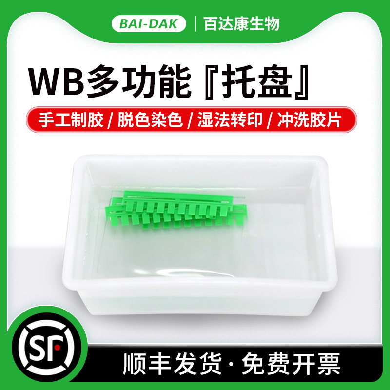 百达康 Western blot 多功能托盘 通用托盘方盒 电泳凝胶暂存盒 湿法转印 脱色染色 显影冲洗胶片