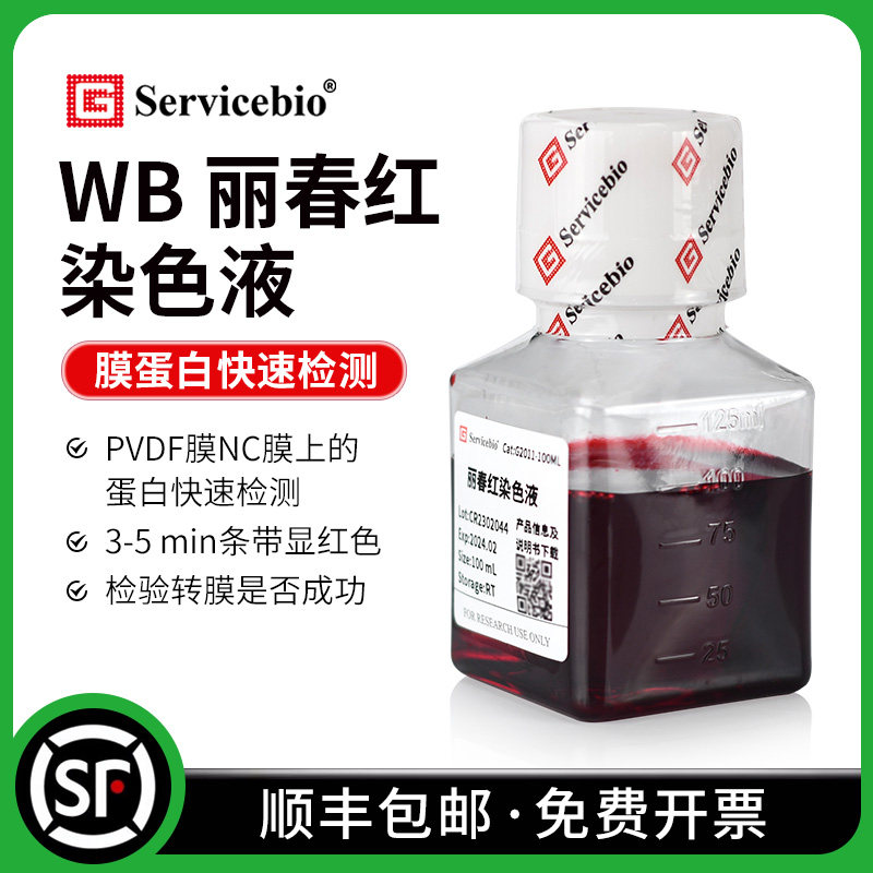赛维尔 Servicebio 丽春红染色液 100ml NC膜PVDF膜上蛋白的快速检测 判断WB转膜是否成功 G2011-100ML