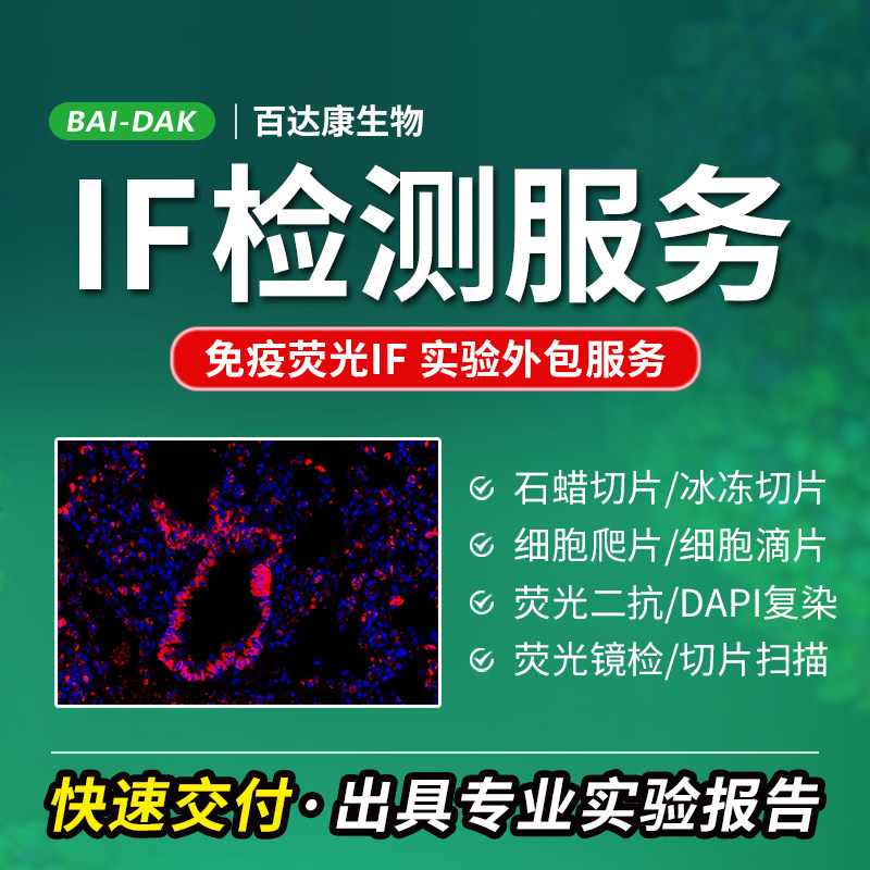 免疫荧光IF 检测服务实验外包 病理包埋石蜡冰冻切片 细胞爬片悬液 荧光单标双标多标 荧光镜检数字扫描分析