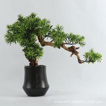 Model room simulation welcoming pine ornaments hotel living room simulation green plants crafts club furniture store soft decoration