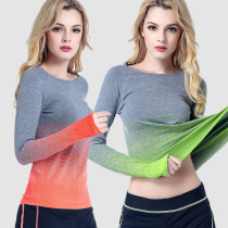 Sports long-sleeved womens gradient sports top T-shirt running quick-drying yoga wear round-neck fitness wear to absorb sweat