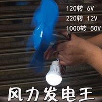 12v generator DC high power household small micro wind power outdoor 6V12V24V50V high power