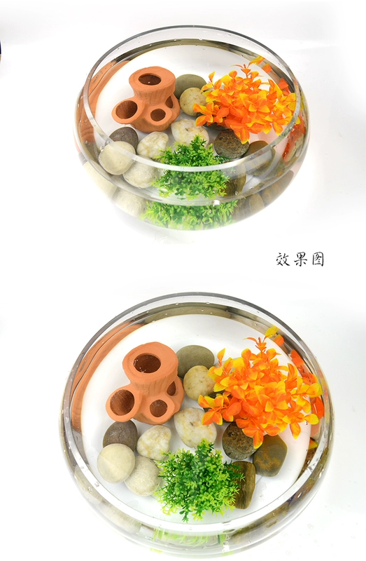 Bể cá tròn bể cá nhỏ bể cá trang trí cảnh quan gói đá mô phỏng nước cỏ chậu sinh sản bể nhỏ đồ trang trí - Trang trí nội thất