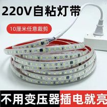 led self-adhesive light strip 220V outdoor waterproof light strip with plug direct plug home decoration dormitory light strip stall lamp
