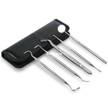 ຄວາມໄວທີ່ສຸດ 5pcs Teeth Scraper Waxing Carving Kit Dental Lab Tools E