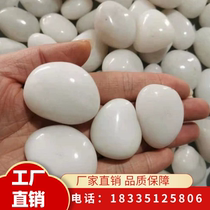Hainan white pebble natural rainfall stone stone garden paving paving pavement decorated goose stone white