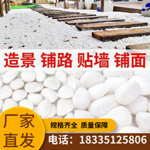Gansu loaded white pebble stone stone courtyard paved floor soft stone household fish tank to make natural stone
