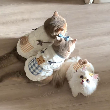 Cat clothes, warm sweatshirt, autumn and winter anti-shedding vest, ragdoll, kitten and dog, cute cold-proof pet clothing