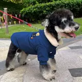 狗狗衣服2024新款比熊泰迪雪纳瑞衣服秋冬小型犬加绒加厚棉服冬天