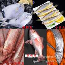 Silver pomfret frozen fresh hairtail quick-frozen small yellow croaker seafood red hairtail black throat fish for catering and barbecue restaurants