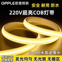 Op LED light strip cob super bright high voltage indoor ceiling restaurant outdoor outdoor engineering waterproof and sunscreen 220V