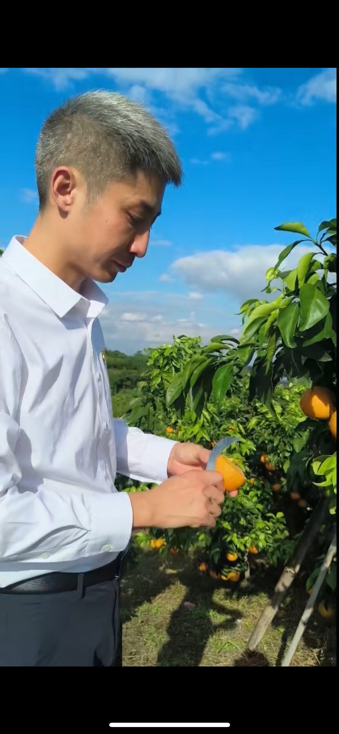 卖水果的董支书