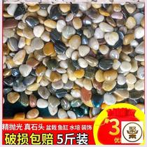 Half-light Yuhua stone raw stone natural pebbles fish tank landscaping pavement stone flower pot decoration small pebble pavement goose