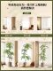 Simulated Green Plant Jacaranda, Indoor Potted Large Artificial Plant, Faux Tree, Light Luxury Living Room Decoration, Floor-Standing Ornament