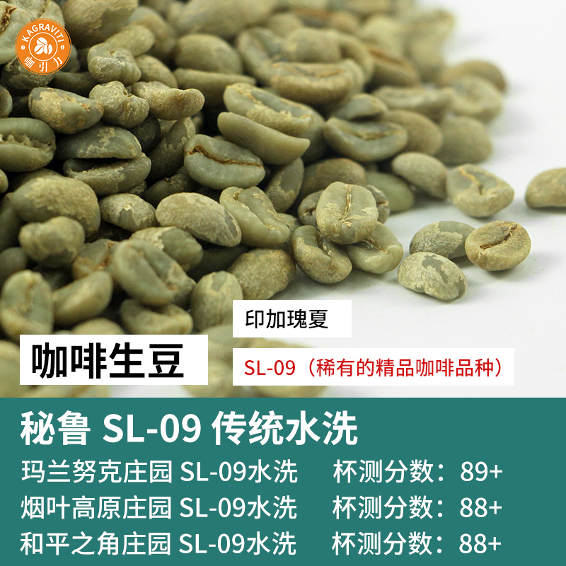 2026 Peru Peace Corner Estate Sl-09 Inca Geisha Washed Coffee Green Beans Jasmine Bergamot Specialty 2026 Peru Peace Corner Estate Sl-09 Inca Geisha Washed Coffee Green Beans Jasmine Bergamot Specialty