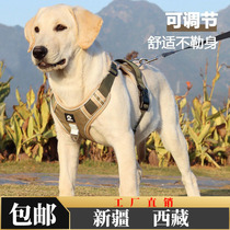 Xinjiang Tibetan dog leash reflective explosion-proof chest harness dog walking rope dog chain Labrador back