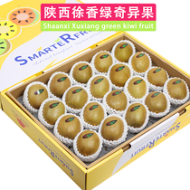 Shunfeng 5 catty boxes loaded with Shaanxi Xu Heung-green Heart Exotic Fruits Kiwi Fruit Fresh Fruit Pregnant Woman