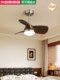 Natural Style Restaurant Ceiling Fan Light, French Retro Minimalist Walnut Color Full-Spectrum Eye Protection Fan Light