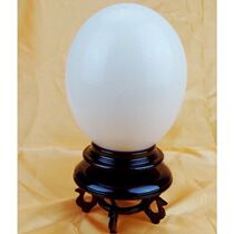 Œufs Bas Carved Eggshell Base Tobottom Ostrich Craft Shelf Sit Ostrich Egg Bracket Ostrich Wood Eggshell Spécial