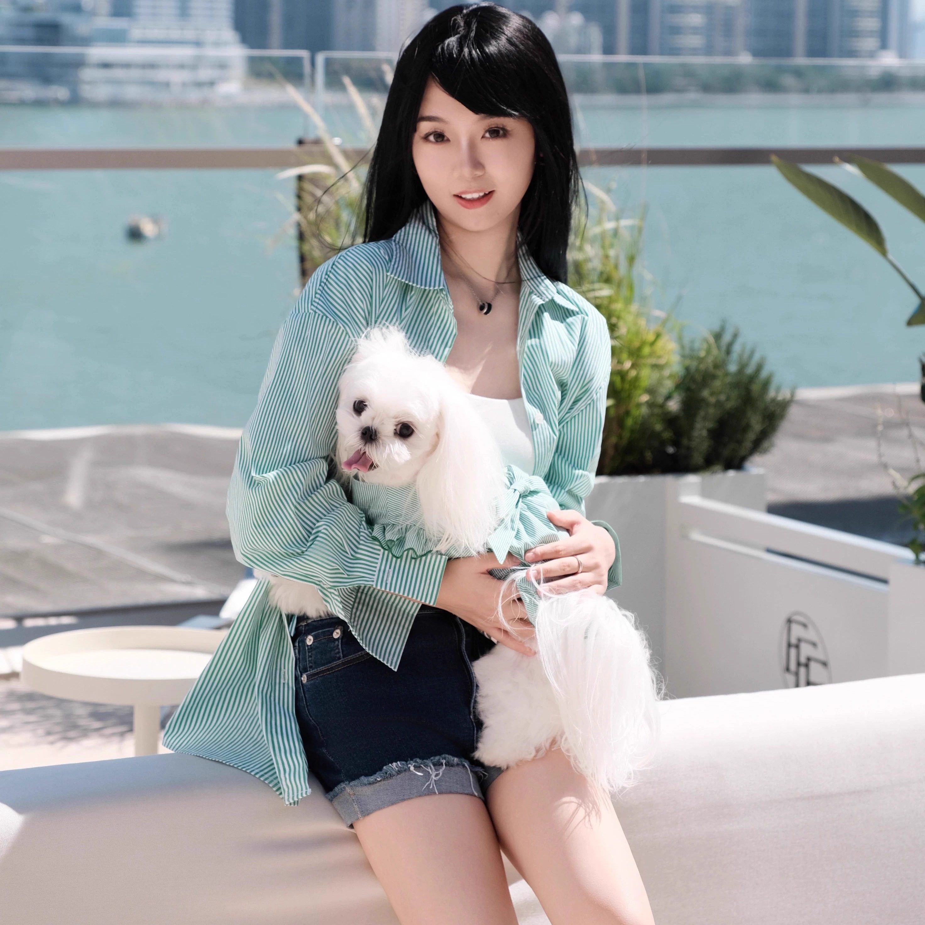 Ben Hed (@pet_foolery) • Instagram photos and videos, image size:2944x2944