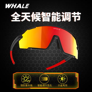 鲸鱼骑行眼镜户外运动护目镜防风沙登山地公路自行车男徒步护目女