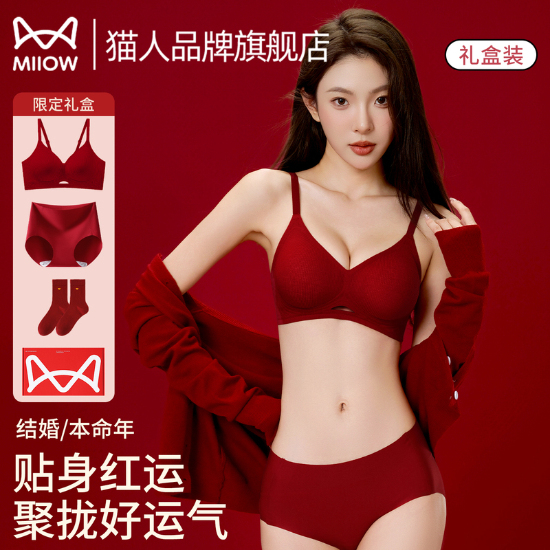 Cat-Themed Red Lingerie Set for Women with Small Busts, Push-Up Bra, Wedding Bride, Year of the Horse, Zodiac Year Gift Box, Bra and Panty Set